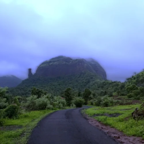 anandvanbhuvani